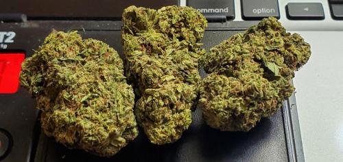 20200601_173725_resized