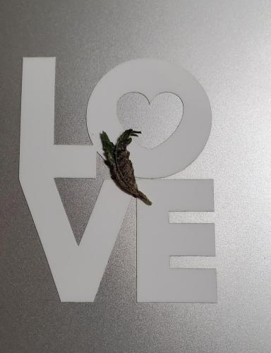 20200713_164211_resized