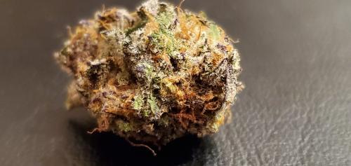 20200915_202443_resized