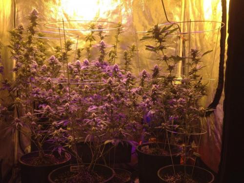 FB_IMG_1507778056692 (1)