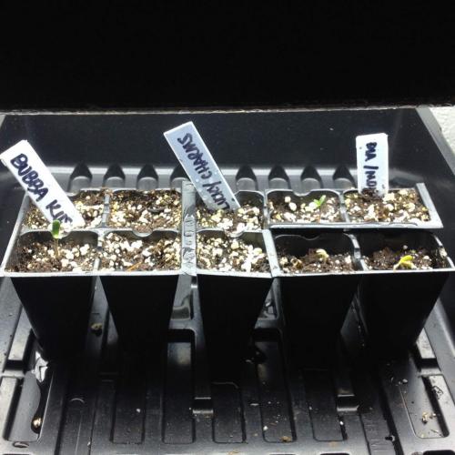 FB_IMG_1507778185738