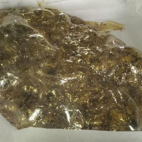 IMG_20200418_152700_553 (1)