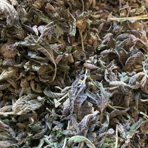 IMG_20200721_101112_740