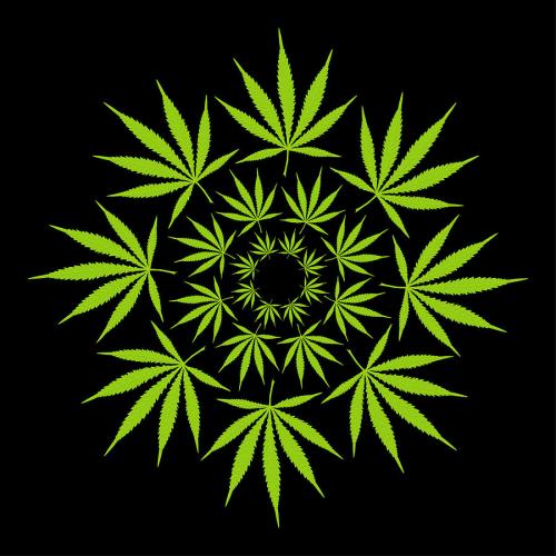 cannabis-leaf-circle-image-zone